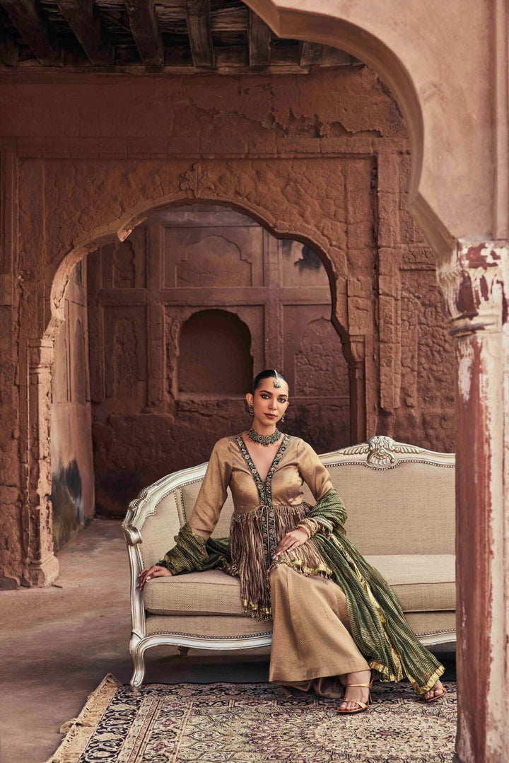 Neerus Brown Embroidery Organza Fabric Kurti and Plazzo with Dupatta