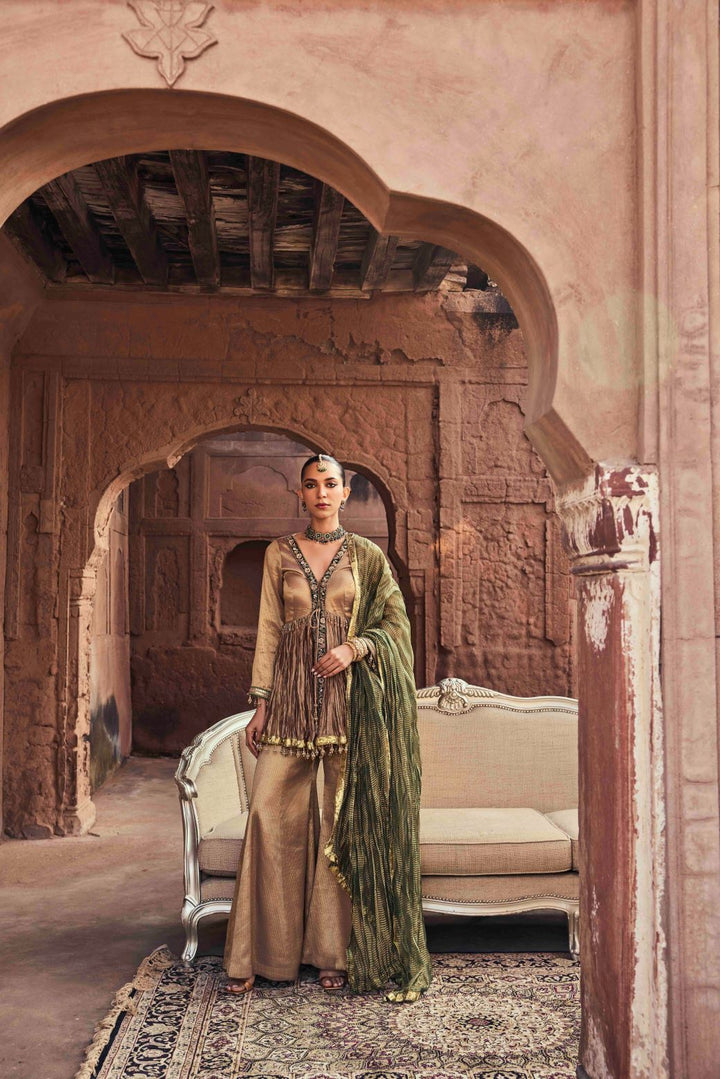 Neerus Brown Embroidery Organza Fabric Kurti and Plazzo with Dupatta