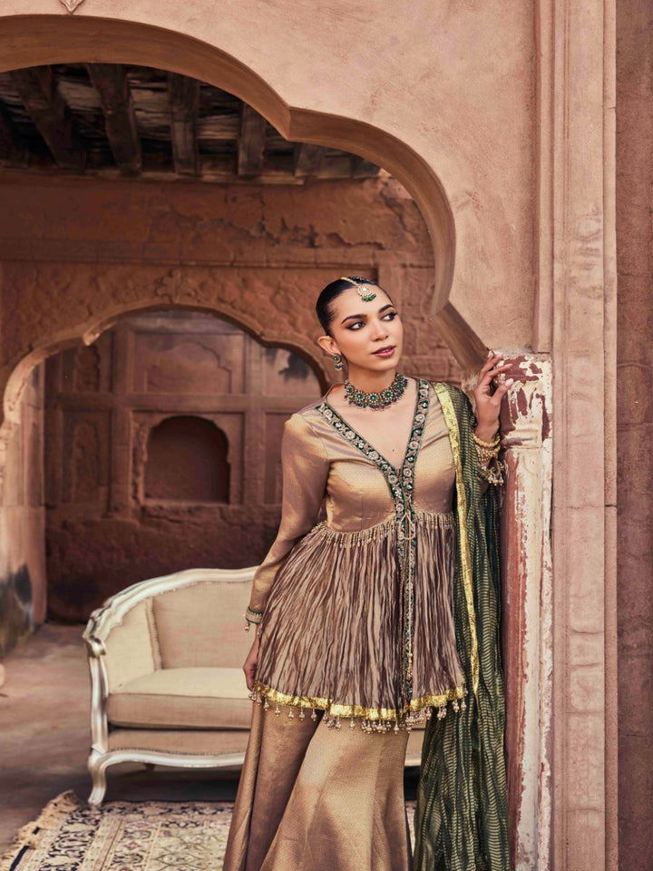 Neerus Brown Embroidery Organza Fabric Kurti and Plazzo with Dupatta