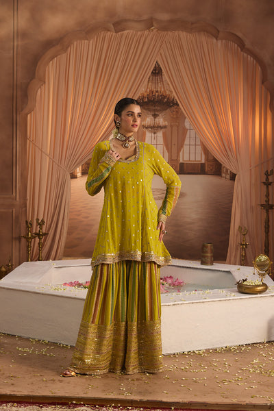 Neerus Variyali Green Embroidery Work Georgette Fabric Kurti and Gharara With Dupatta