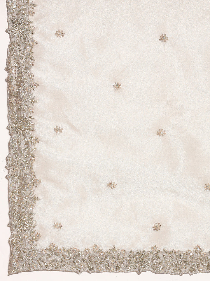 Silver tissue saree with Zari embroidery and contrast blouse