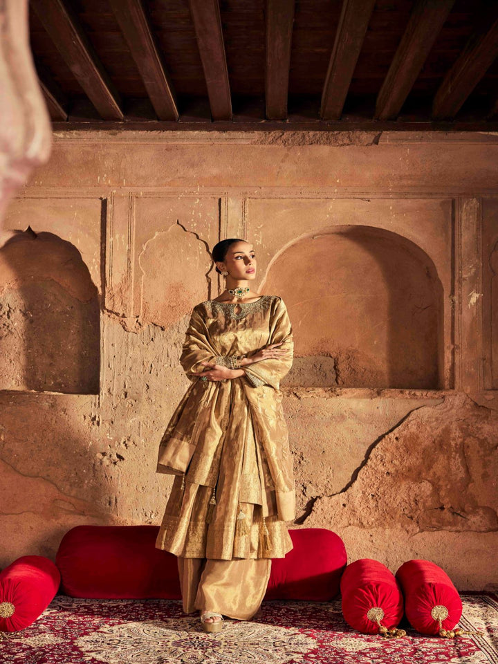 Neerus Gold Embroidery Work Tissue Fabric Anarkali and Palazzo With Dupatta