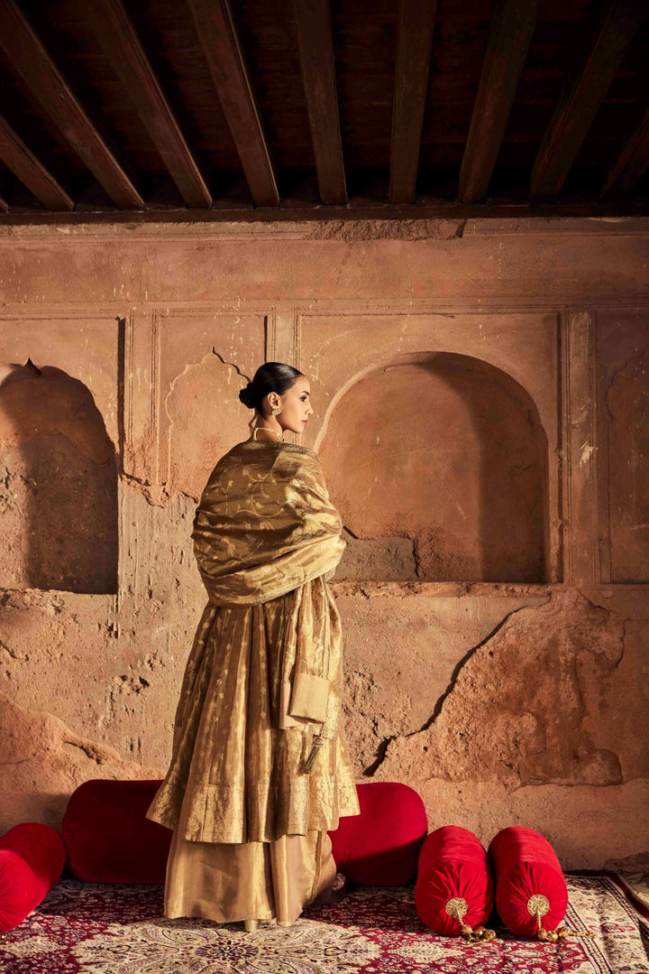 Neerus Gold Embroidery Work Tissue Fabric Anarkali and Palazzo With Dupatta