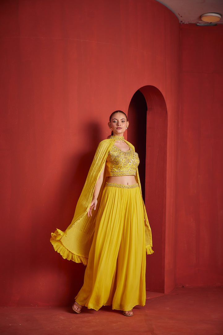 Neerus Yellow georgette embroidered suit set - back view