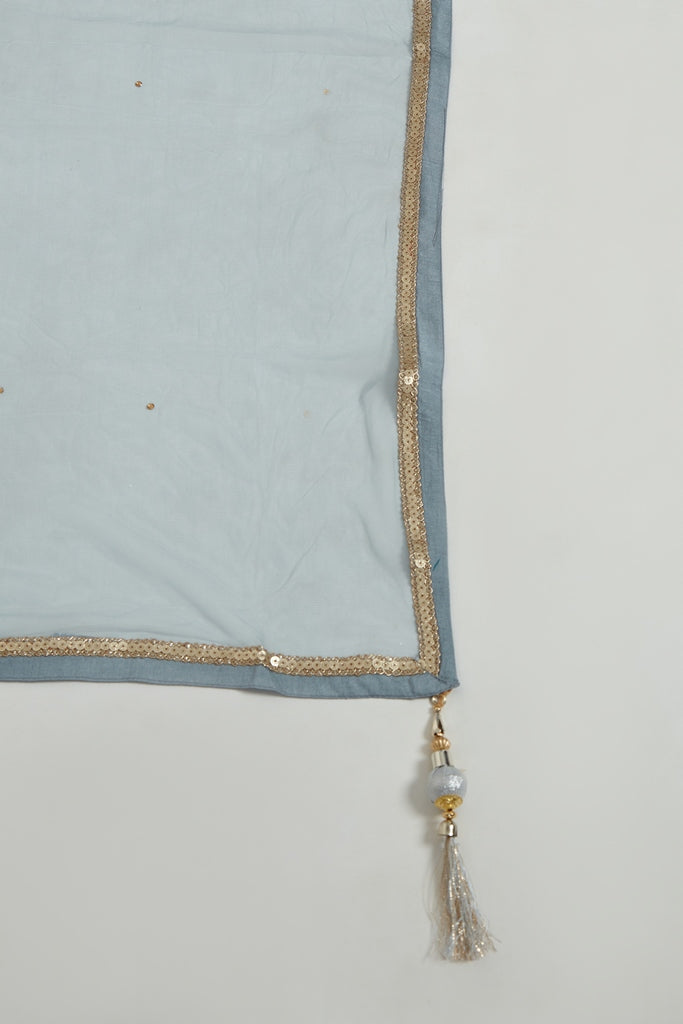 Neerus Grey georgette mirror work suit set - detail view 4