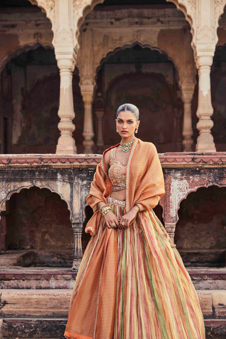 Neerus Multicolor Embroidery Tissue Fabric Ghagra set