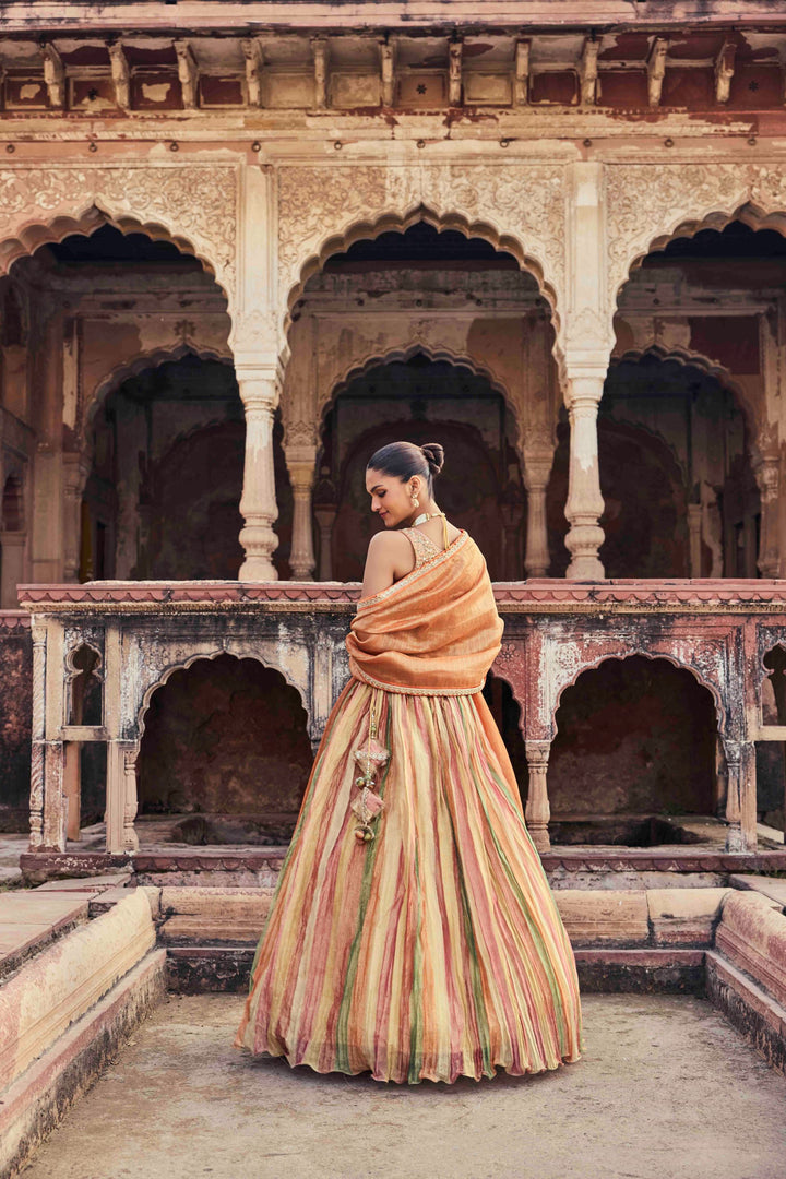 Neerus Multicolor Embroidery Tissue Fabric Ghagra set