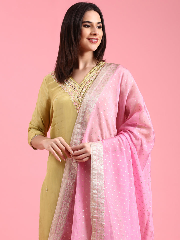 Pista Organza Hand Embroidery Three Piece Suit Set