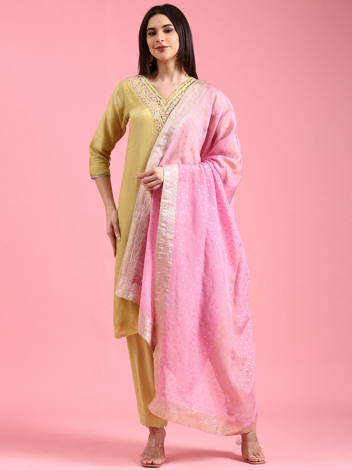 Pista Organza Hand Embroidery Three Piece Suit Set