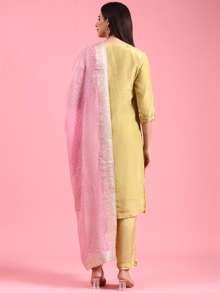 Pista Organza Hand Embroidery Three Piece Suit Set