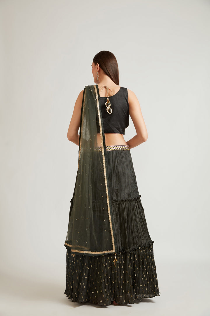 Neerus Green crepe flared lehenga set - side view