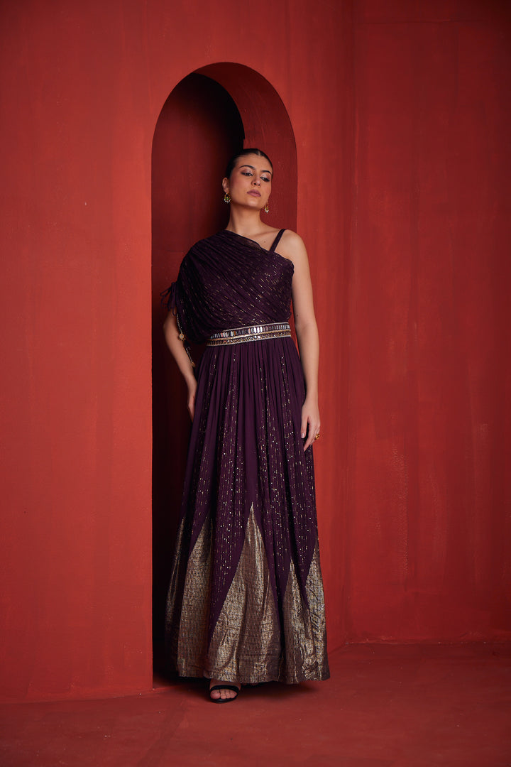 Neerus Maroon organza embellished suit set - back view