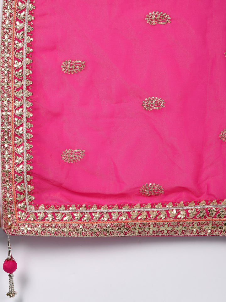 Pink Silk Hand Embroidery Ghagra Set