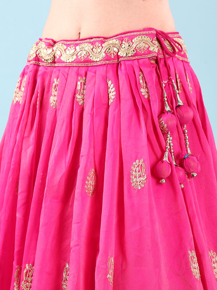 Pink Silk Hand Embroidery Ghagra Set
