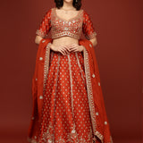 Rust Silk Hand Embroidery Floral Motifs Ghagra Set