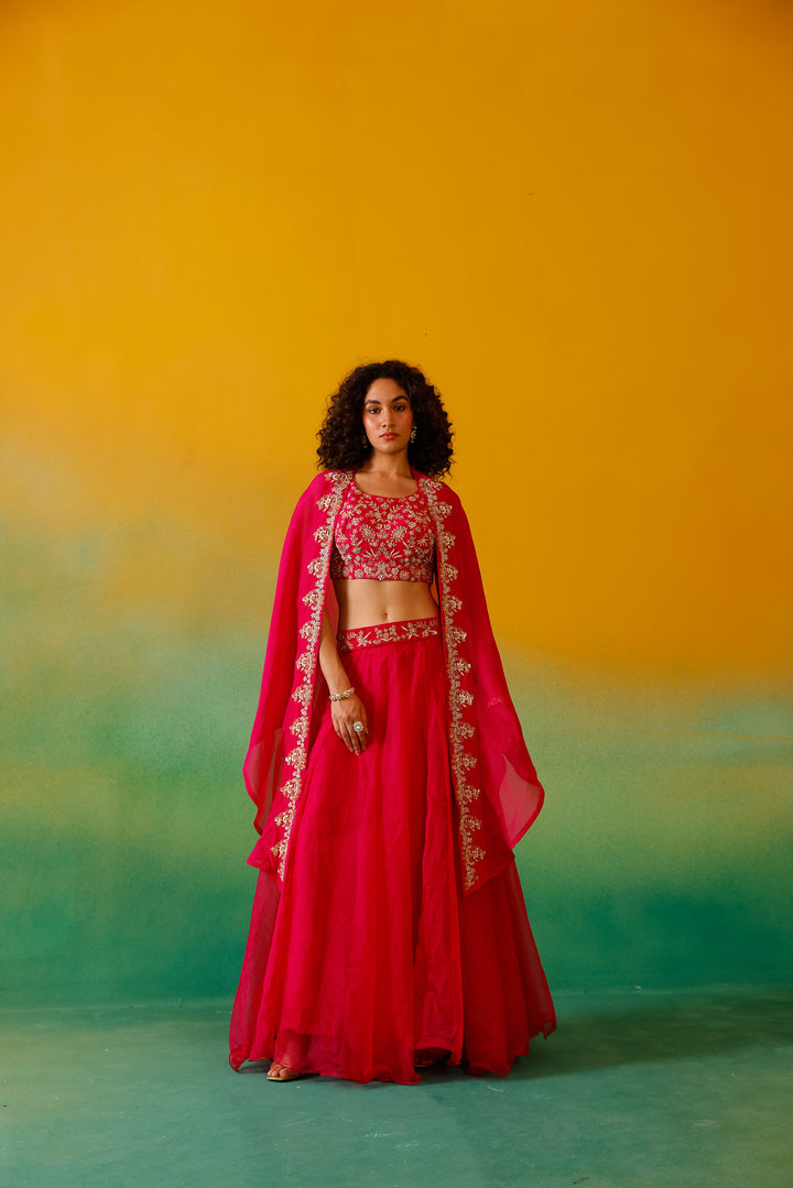 Neerus Rani Pink Embroidery work Organza Fabric Ghagra Set