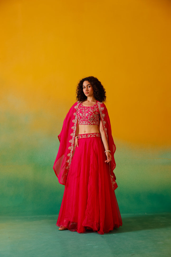 Neerus Rani Pink Embroidery work Organza Fabric Ghagra Set