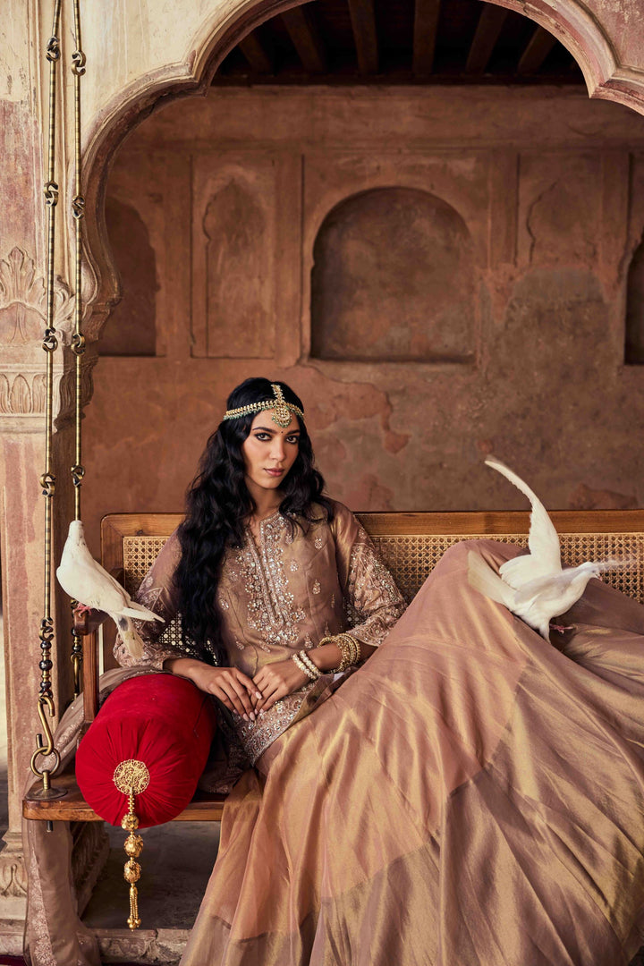 Neerus Brown Embroidery Tissue Fabric Top and Skirt with Dupatta