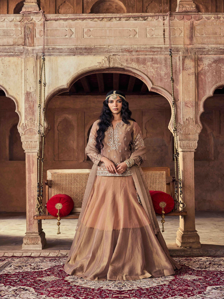 Neerus Brown Embroidery Tissue Fabric Top and Skirt with Dupatta