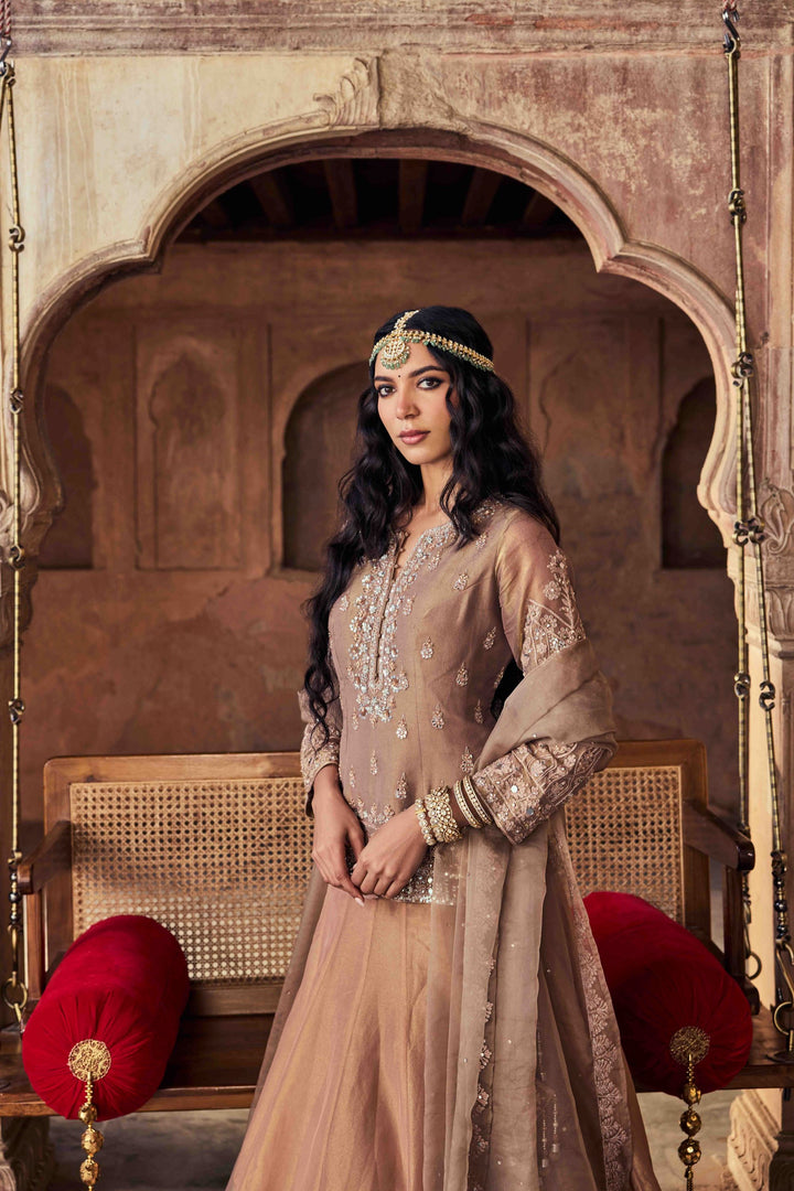 Neerus Brown Embroidery Tissue Fabric Top and Skirt with Dupatta