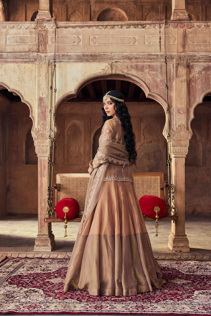 Neerus Brown Embroidery Tissue Fabric Top and Skirt with Dupatta