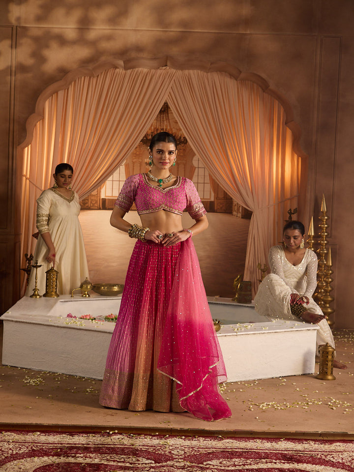 Neerus Rani Embroidery work georgette fabric ghagra set