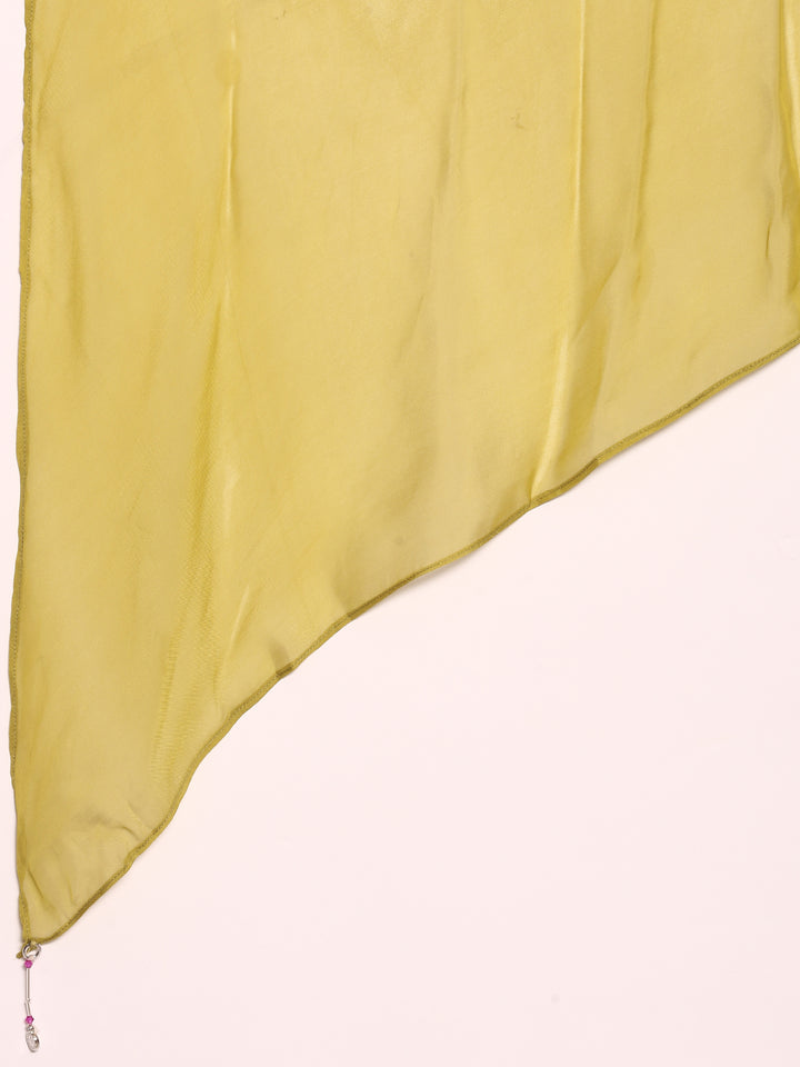 Variyali Green Chinnon Heavy Sequins Ghagra Set