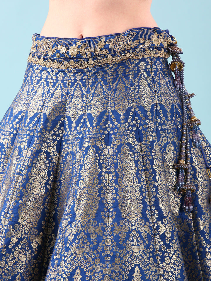 Blue Silk Hand Embroidery Ghagra Set