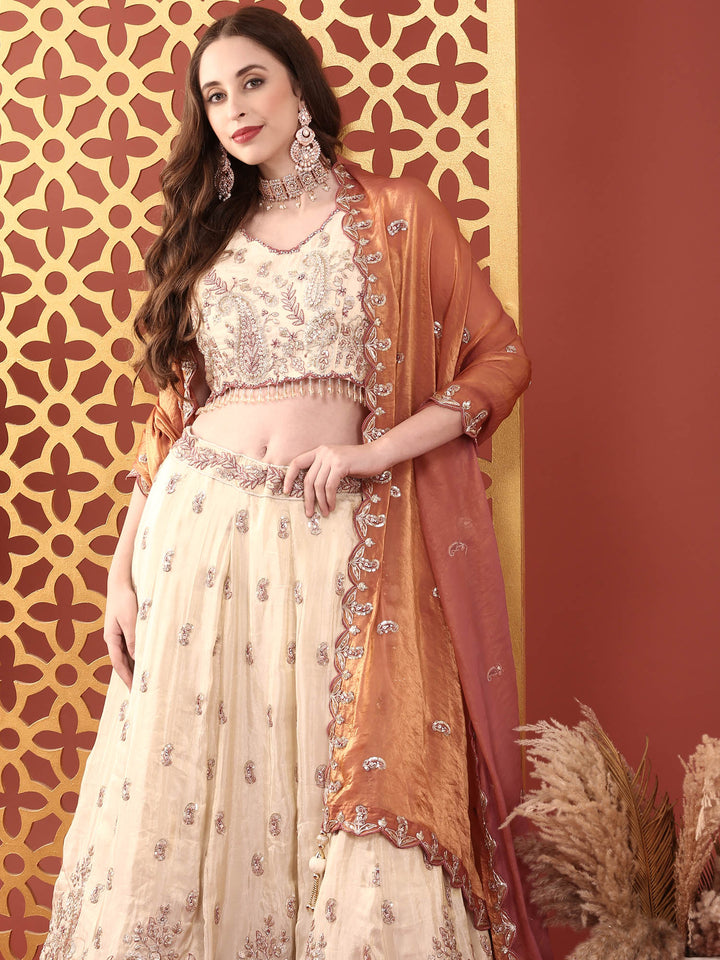 Cream Tissue With Heavy Hand Embroidery Ghagra Set
