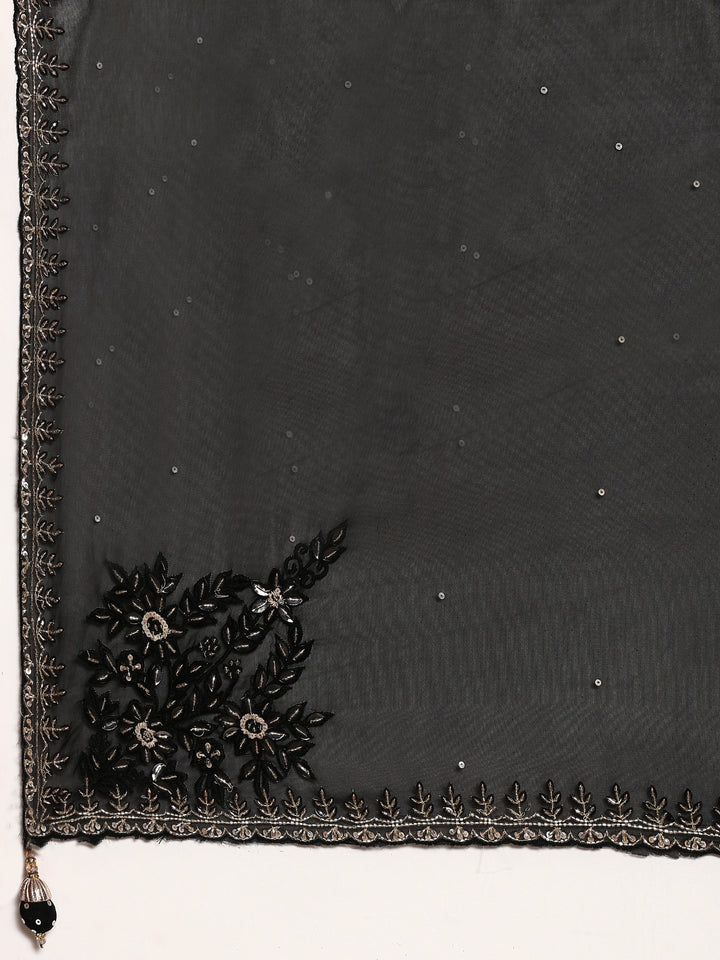 Black Organza saree cut Dana hand embroidery with heavy ready made blouse