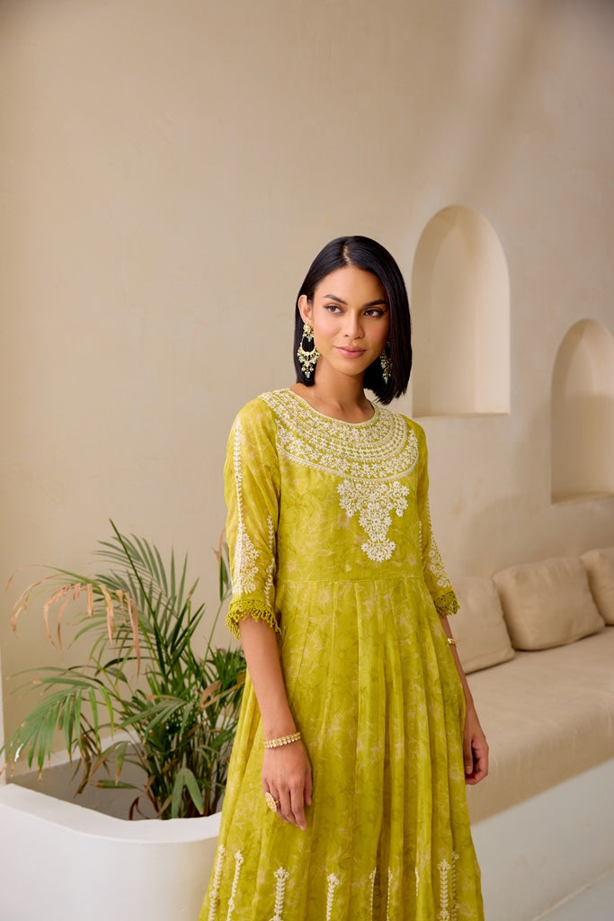 Neerus Green Embellished Flared Suit Set - detail view 3