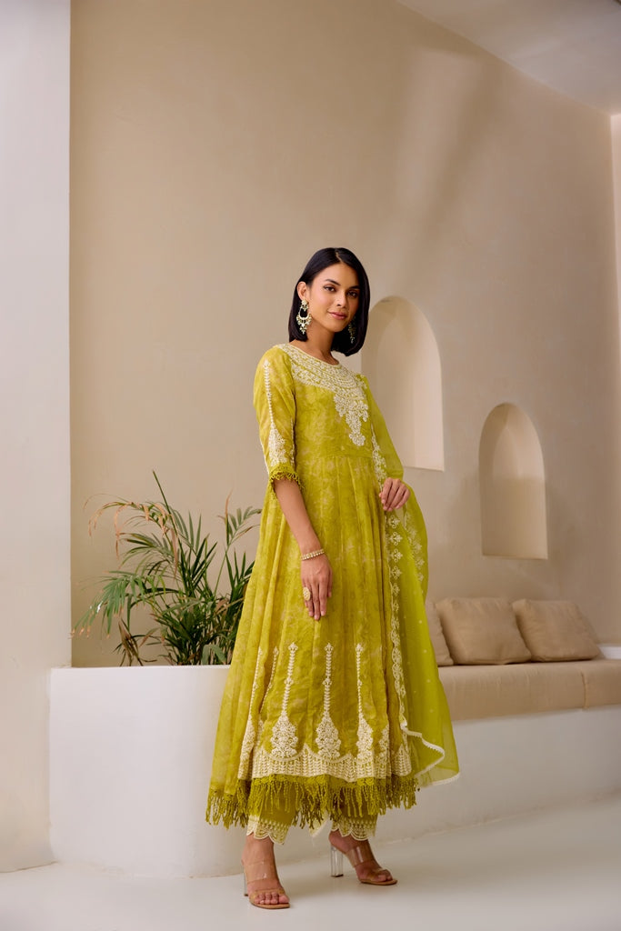 Neerus Green Embellished Flared Suit Set - back view