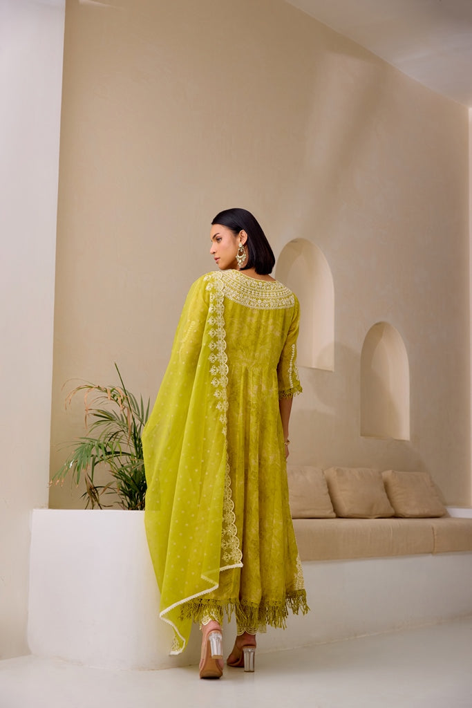 Neerus Green Embellished Flared Suit Set - side view