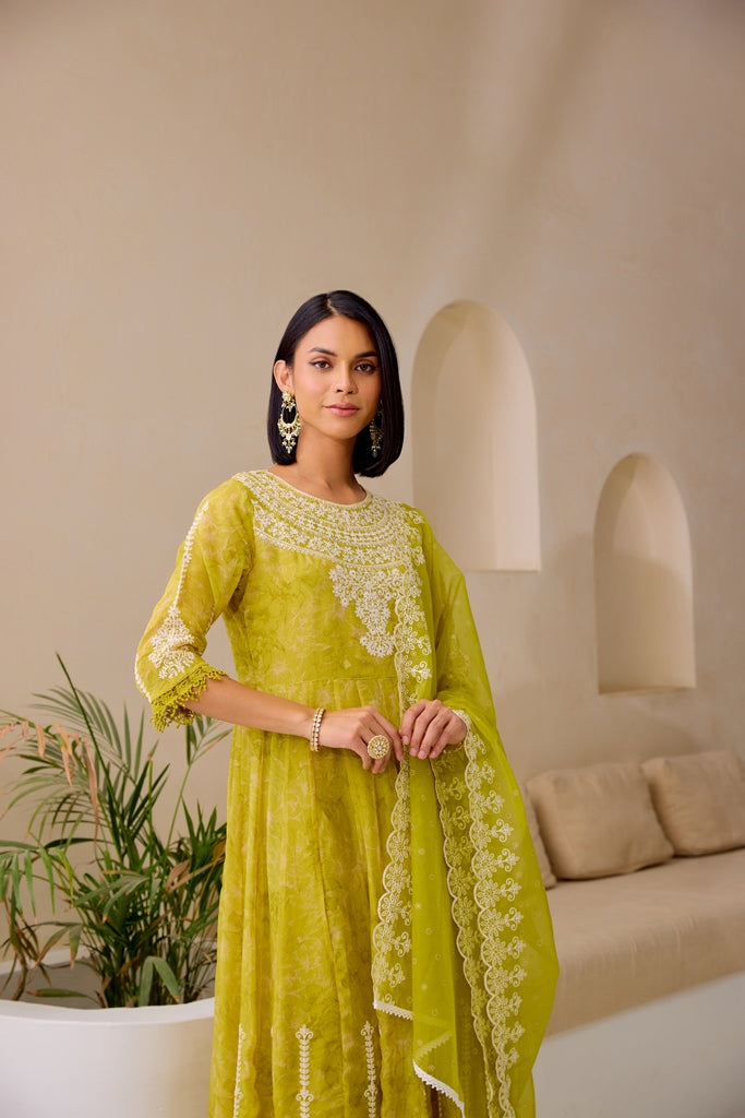 Neerus Green Embellished Flared Suit Set - detail view 1
