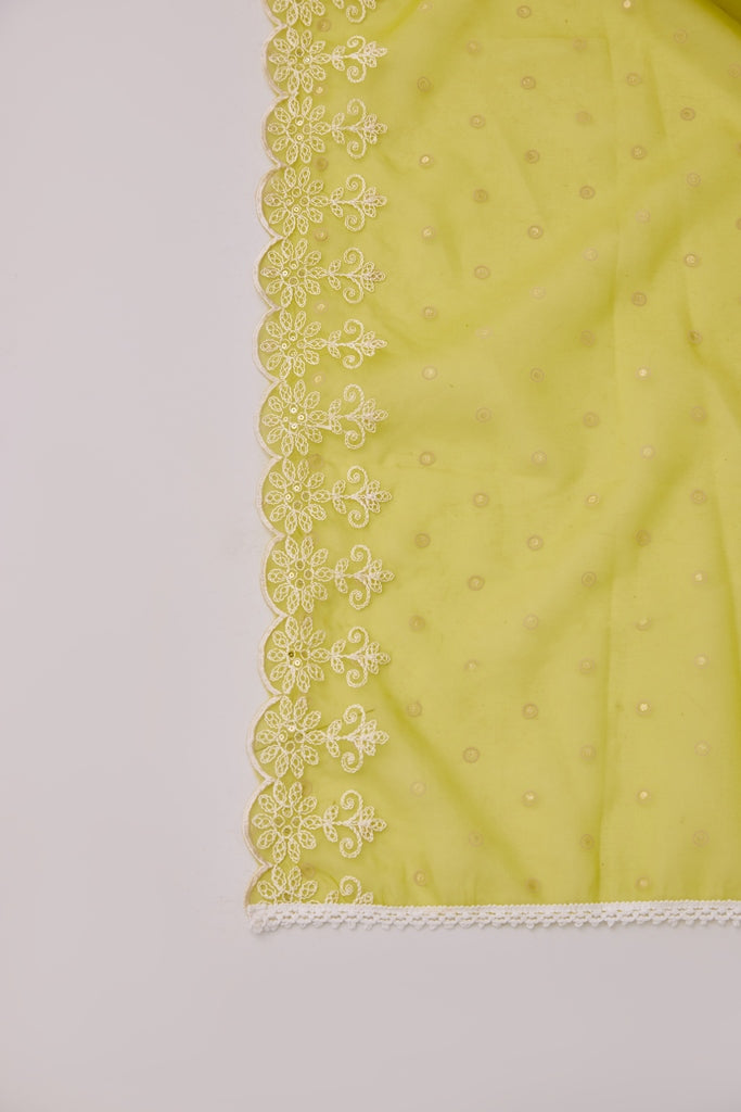 Neerus Green Embellished Flared Suit Set - detail view 4