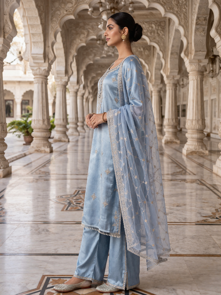 Neerus Blue organza embellished suit set - back view