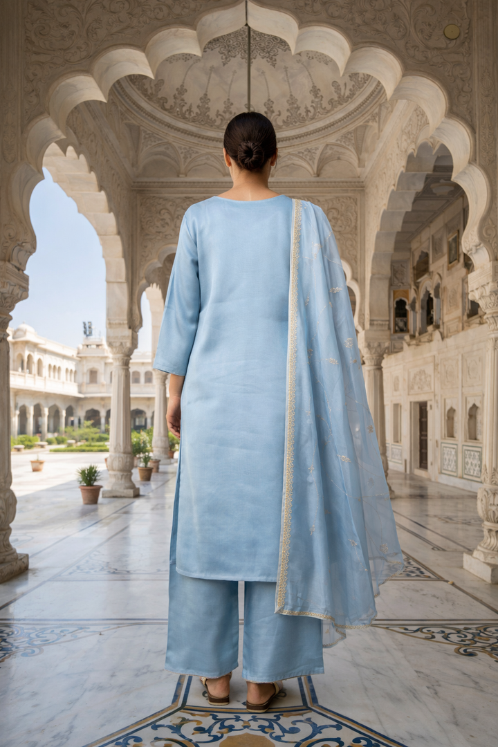 Neerus Blue organza embellished suit set - side view