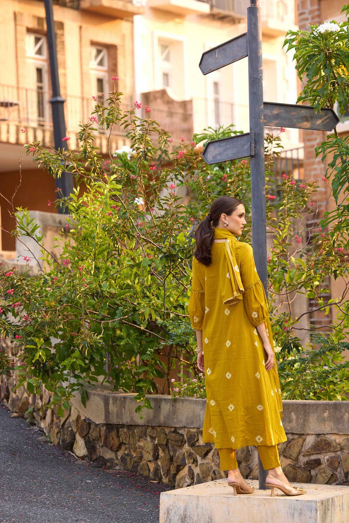 Neerus Green cotton solid anarkali suit set - back view