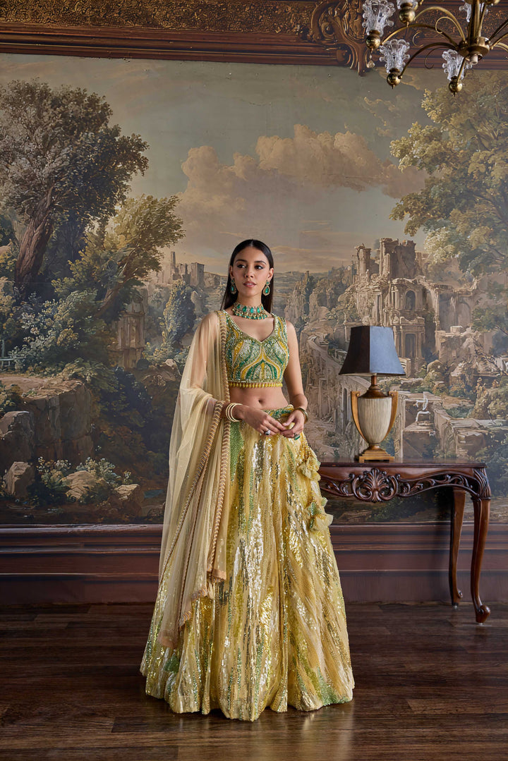 Yellow Net Heavy Sequins and Embroidered Ghagra set