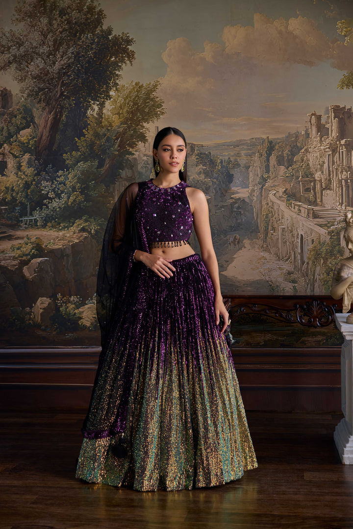 Wine Net Heavy Sequins Work Ghagra Set