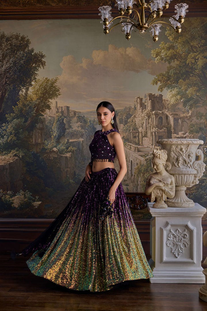 Wine Net Heavy Sequins Work Ghagra Set