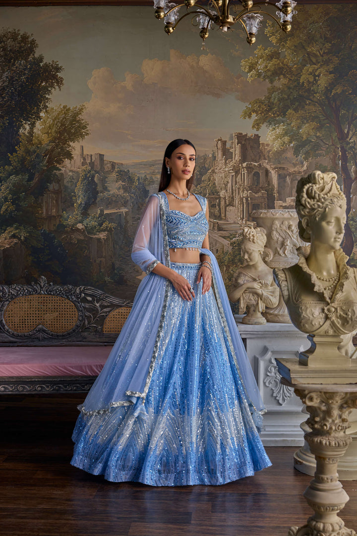 Ice Blue Net Heavy Hand Embroidered Ghagra Set