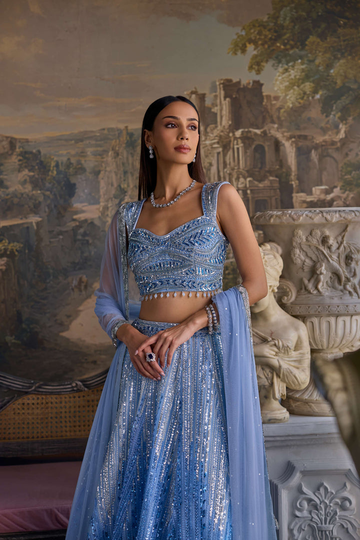 Ice Blue Net Heavy Hand Embroidered Ghagra Set