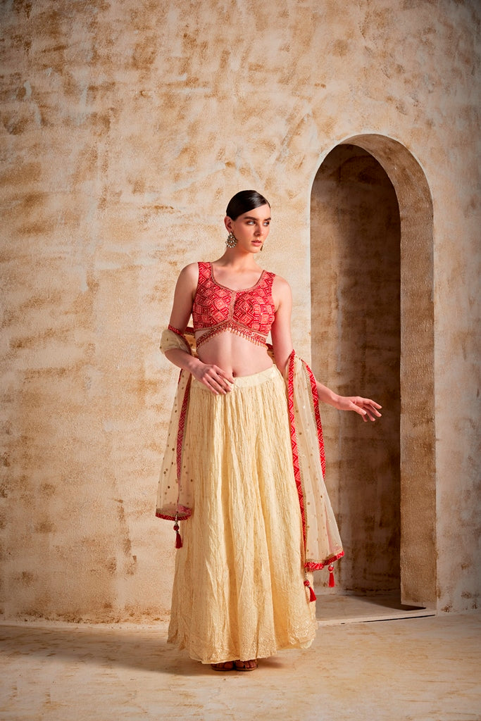 Neerus Cream Color Georgette Fabric Ghagra Set