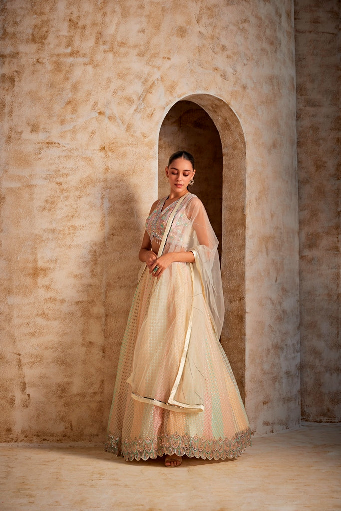 Neeru'S Cream Color Nett Fabric Ghagra Set