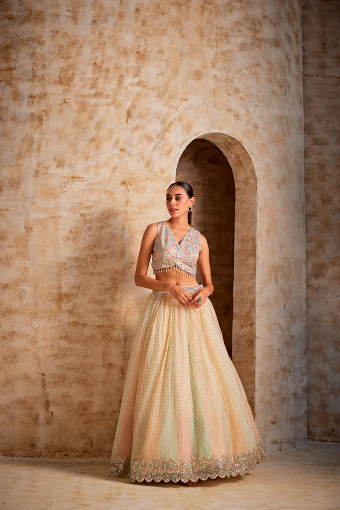 Neerus Cream Color Nett Fabric Ghagra Set