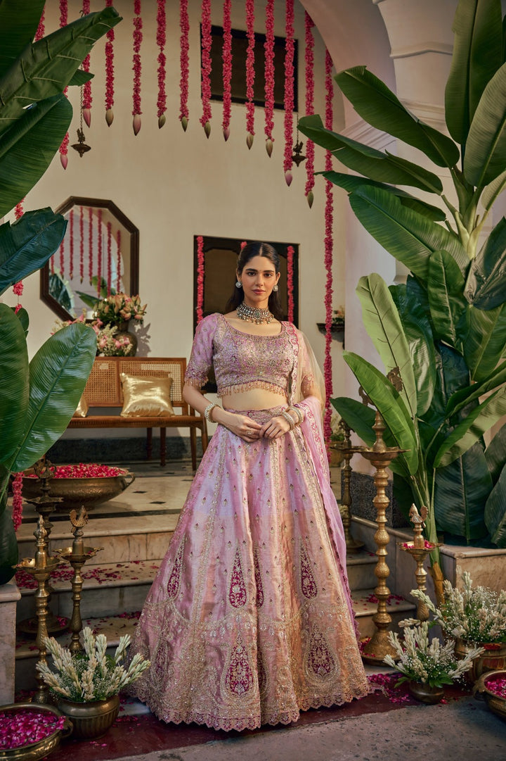 Onion Tissue Zari Embroidery Ghagra Set