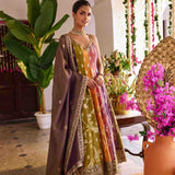 Multi Color Tissue Hand Embroidery Anarkali