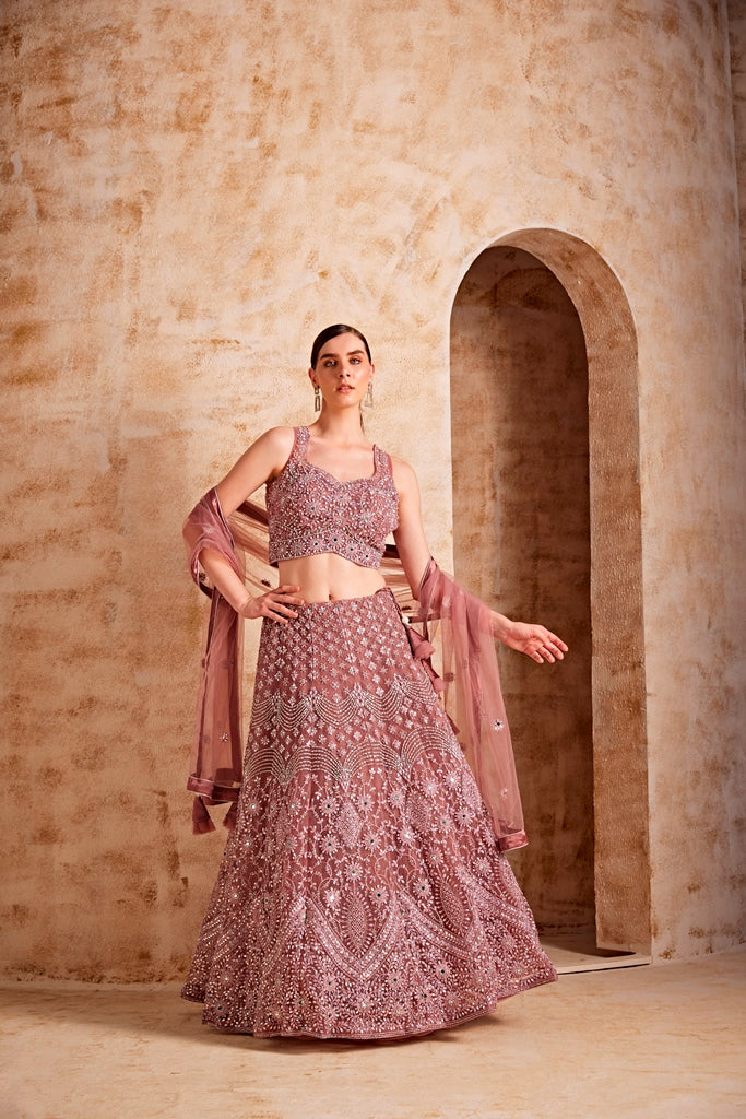 Neerus Women Onion Color Nett Fabric Ghagra Set