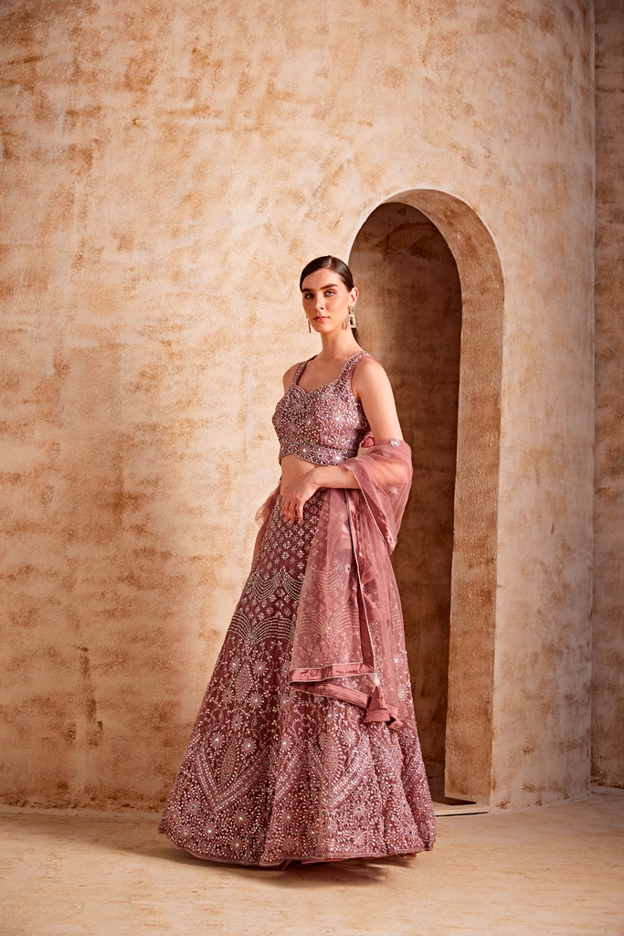 Neerus Women Onion Color Nett Fabric Ghagra Set